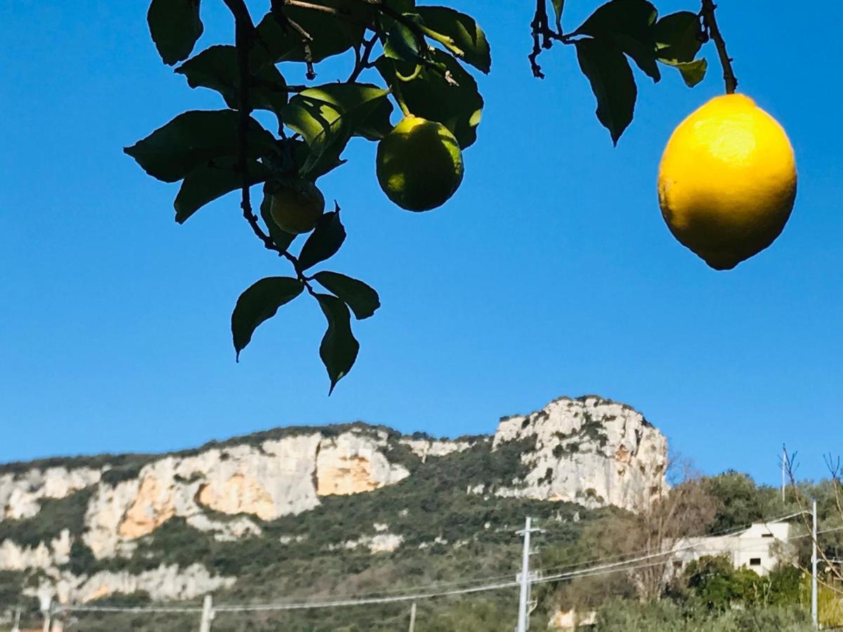 Rocca Di Corno Guest House 菲纳莱利古雷 外观 照片