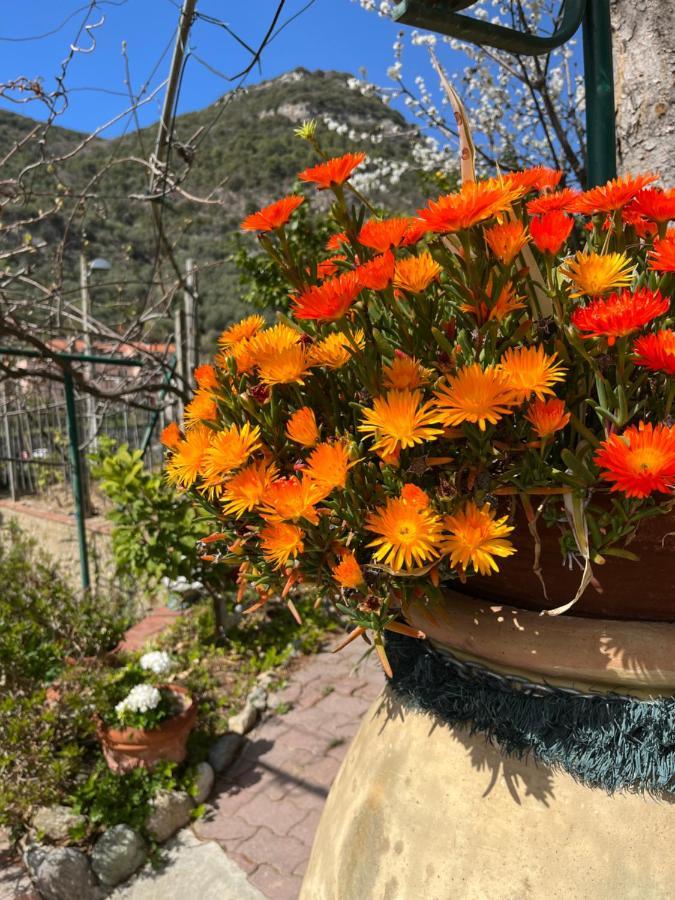 Rocca Di Corno Guest House 菲纳莱利古雷 外观 照片